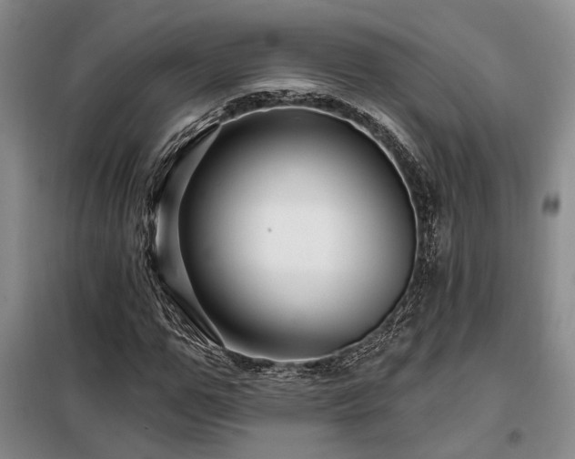 X0000098130967200804171517