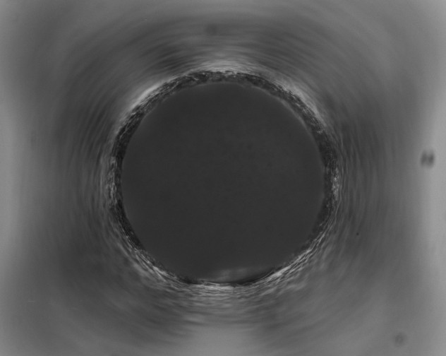 X0000098130968200804171517