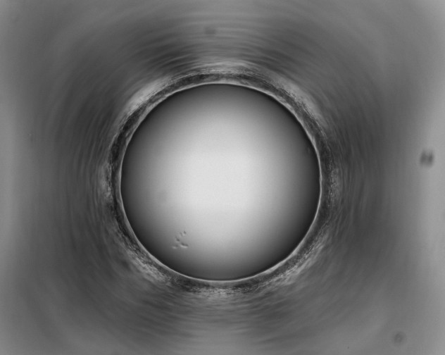 X0000098130970200804171517