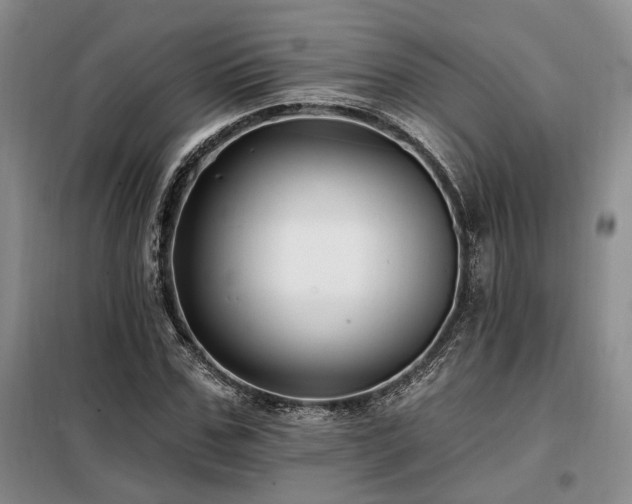 X0000098130971200804171517