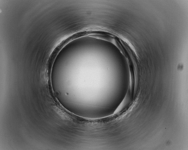 X0000098130973200804171517
