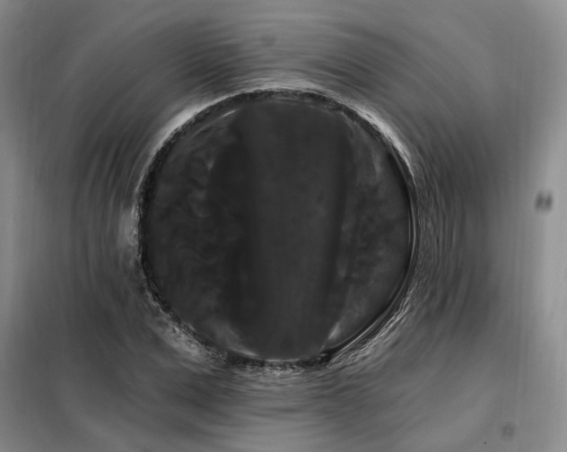 X0000098130975200804171517