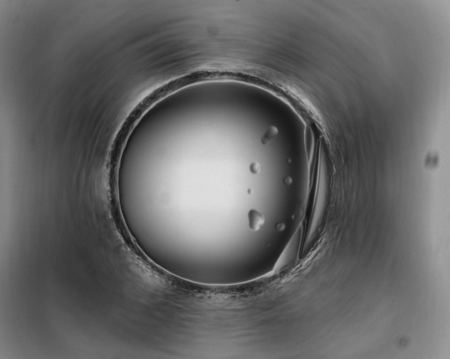 X0000098130976200804171517