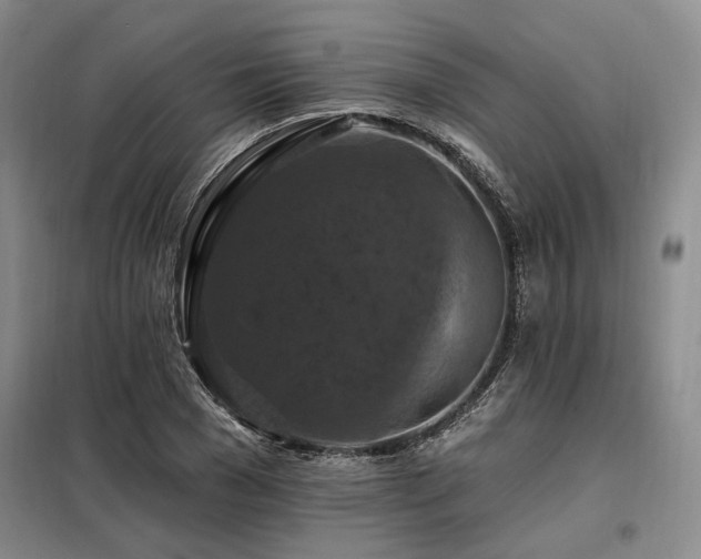 X0000098130977200804171517