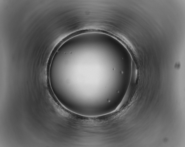 X0000098130980200804171517