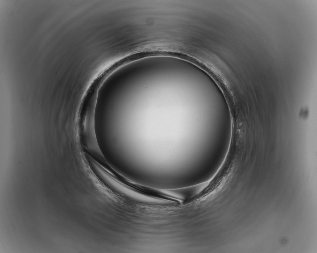 X0000098130981200804171517