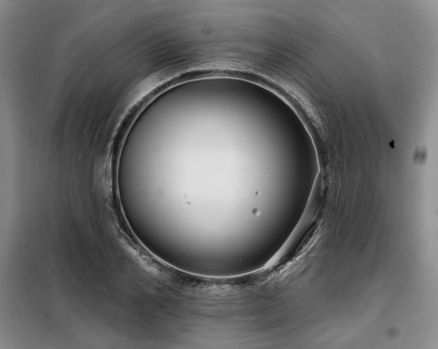 X0000098130982200804171517