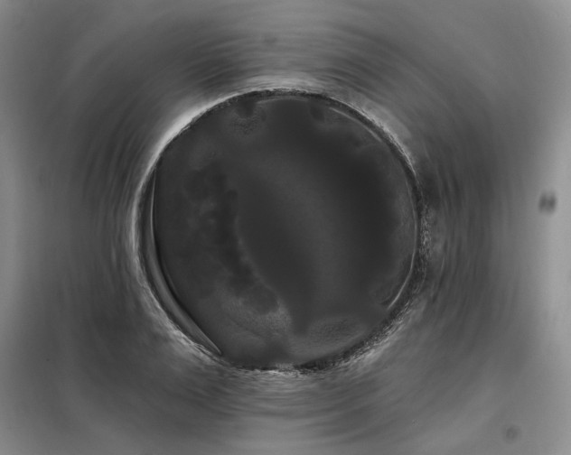 X0000098130983200804171516