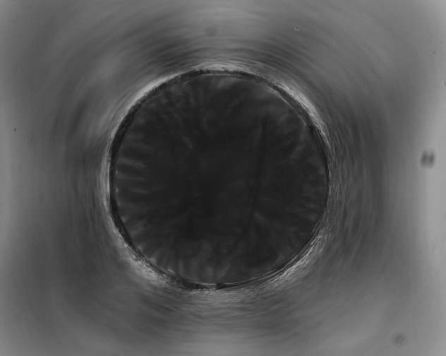 X0000098130984200804171516