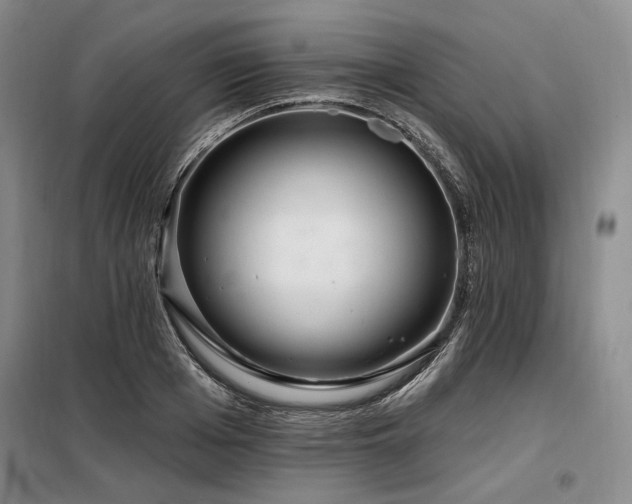 X0000098130985200804171516