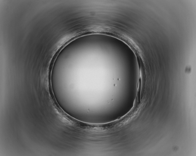 X0000098130986200804171516