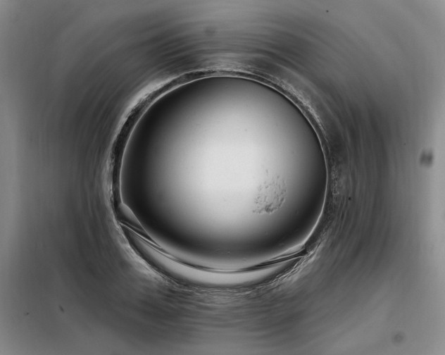 X0000098130987200804171516