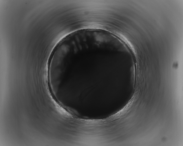 X0000098130988200804171516