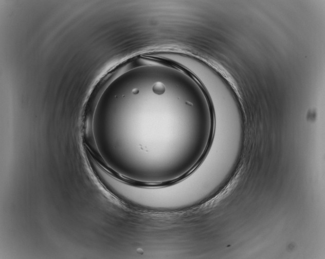 X0000098130989200804171516