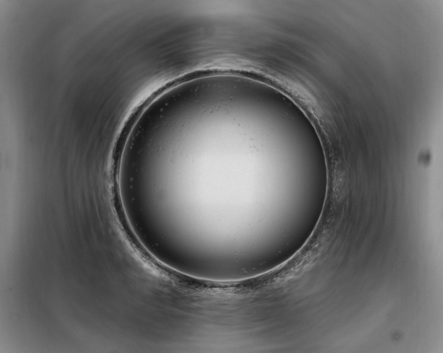 X0000098130990200804171516