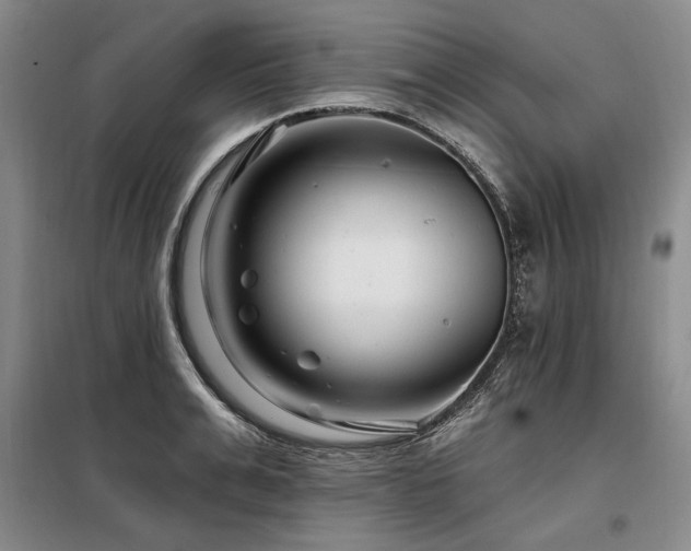 X0000098130991200804171516