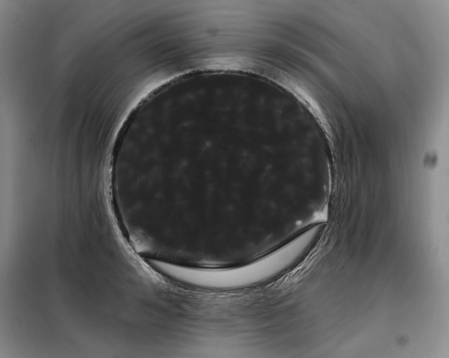 X0000098130992200804171516