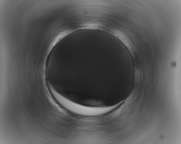 X0000098130994200804171516