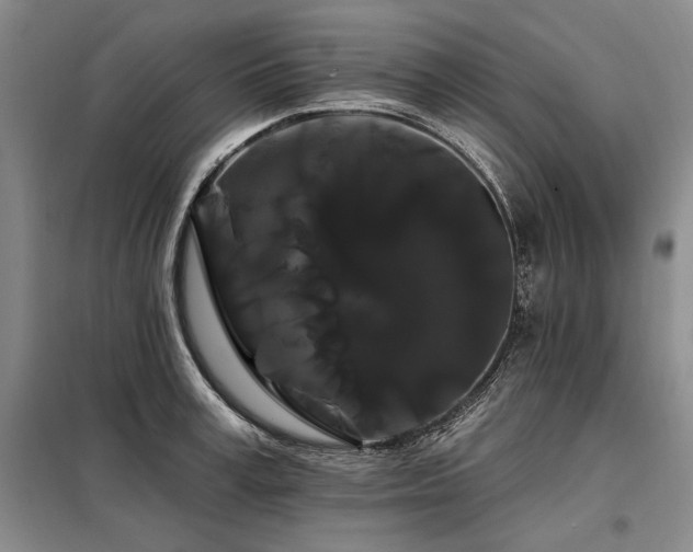 X0000098130995200804171516
