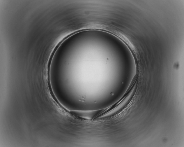 X0000098130996200804171516