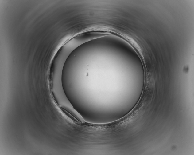 X0000098130997200804171516
