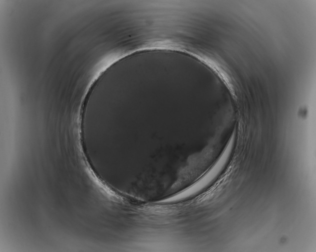 X0000098130998200804171516