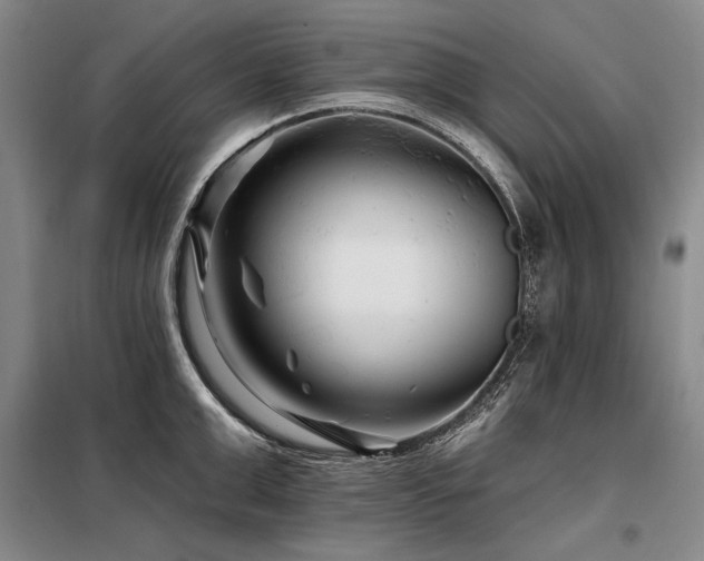 X0000098130999200804171516