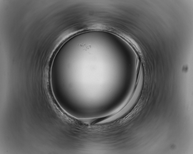 X0000098131000200804171516