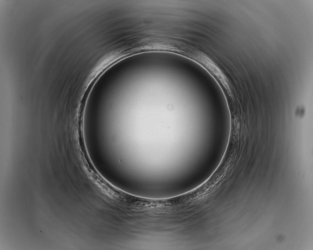 X0000098131002200804171516
