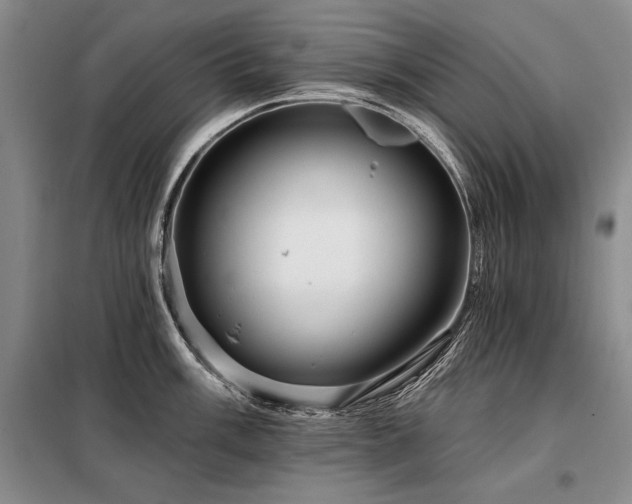 X0000098131003200804171516
