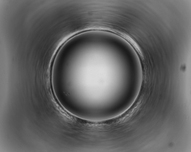 X0000098131004200804171516