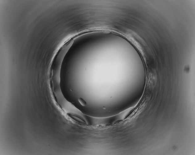 X0000098131005200804171516