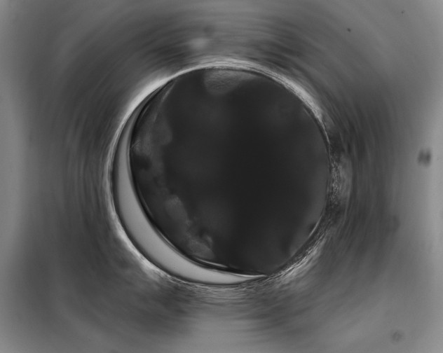 X0000098131007200804171516