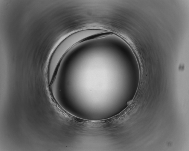 X0000098131008200804171516