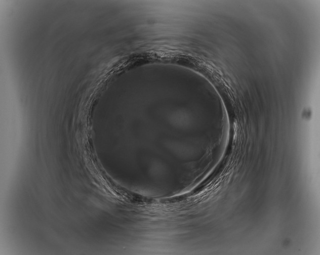 X0000098131009200804171515