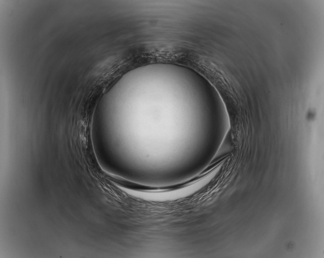 X0000098131010200804171515