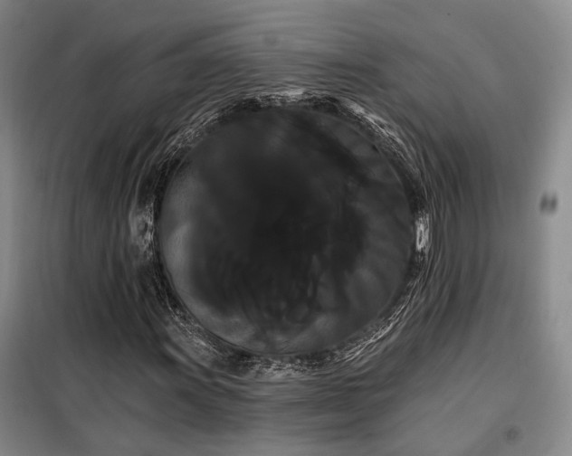 X0000098131011200804171515