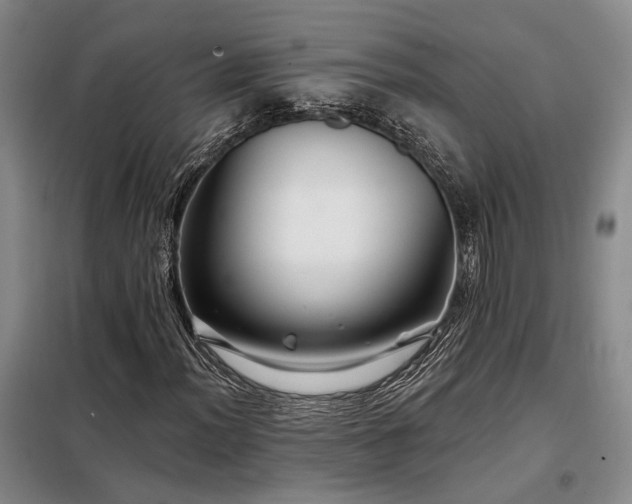 X0000098131012200804171515