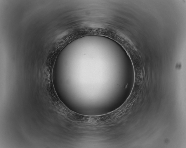 X0000098131013200804171515