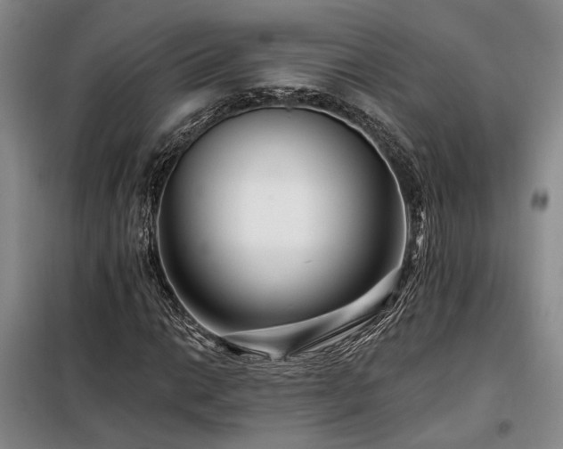 X0000098131014200804171515