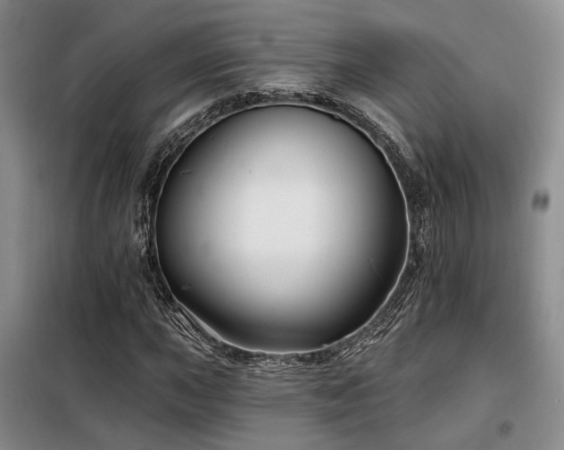 X0000098131015200804171515