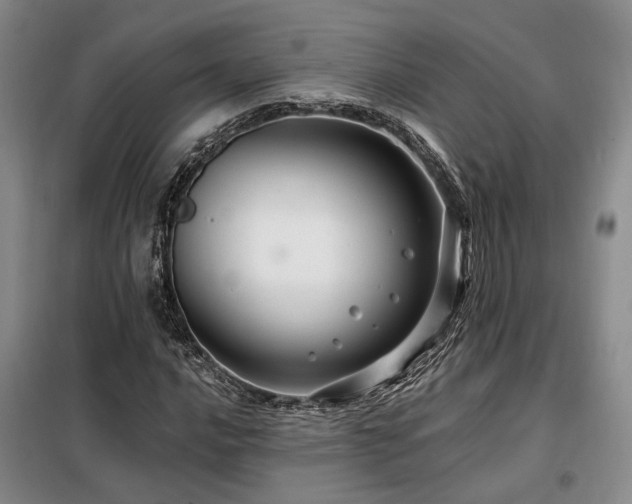 X0000098131016200804171515