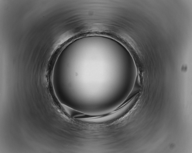 X0000098131018200804171515