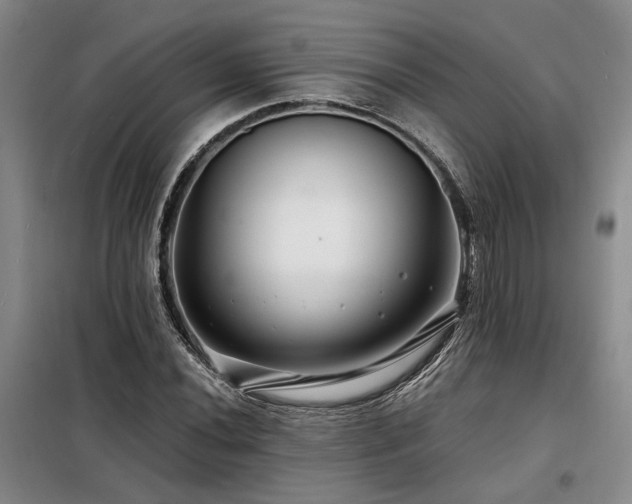 X0000098131020200804171515