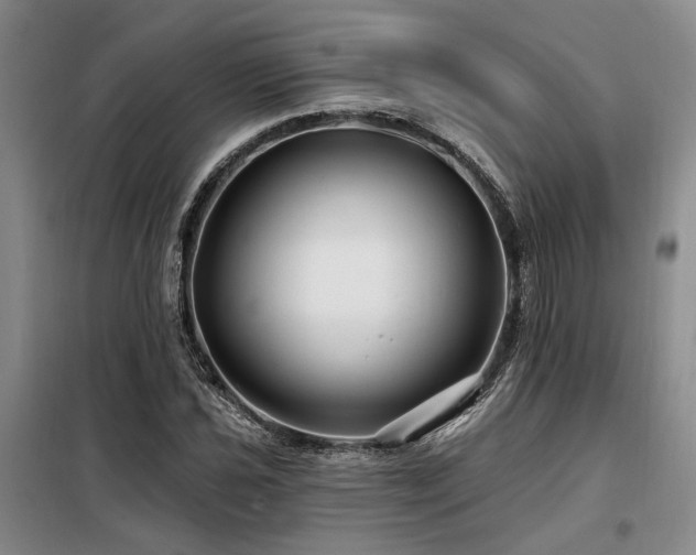 X0000098131021200804171515