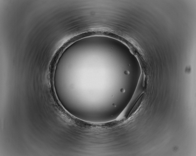 X0000098131022200804171515