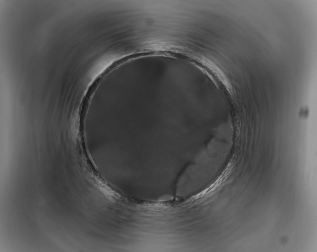 X0000098131023200804171515