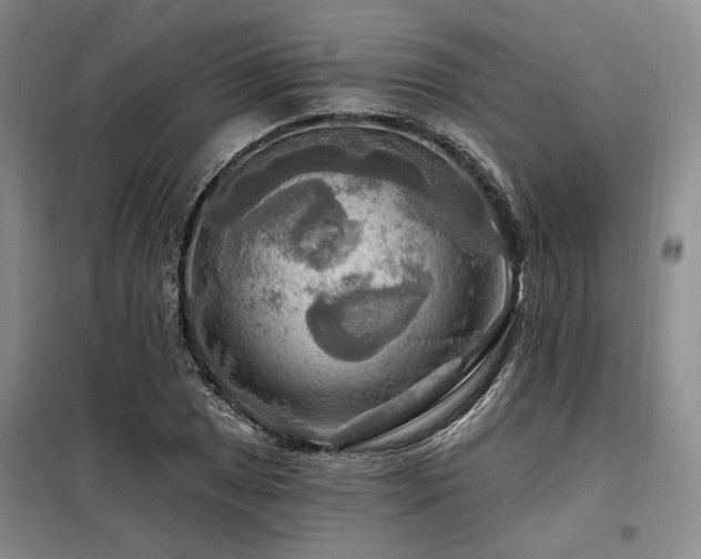 X0000098131025200804171516