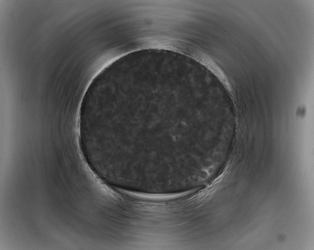 X0000098131028200804171516