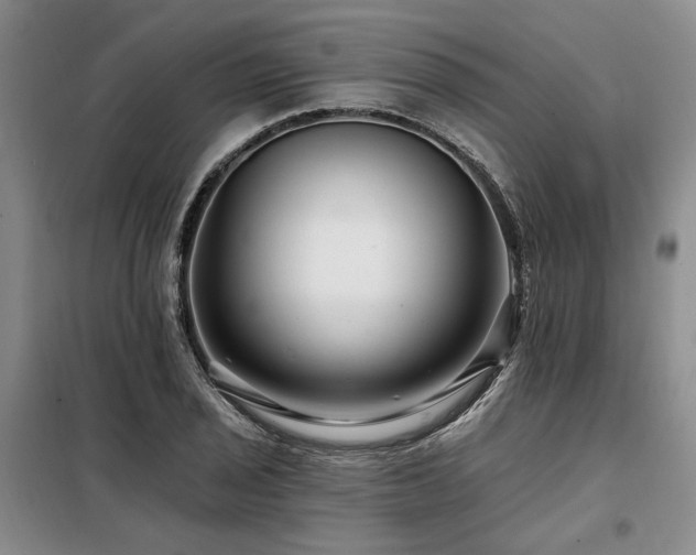 X0000098131029200804171516